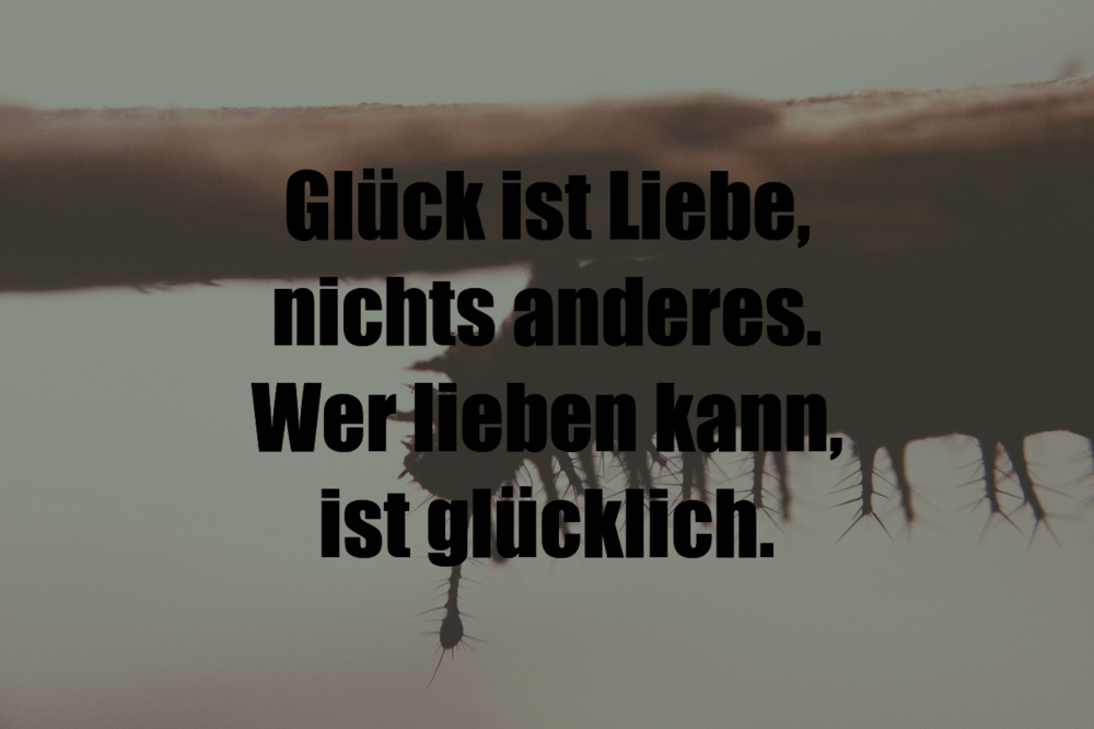 Glück ist Liebe, nichts anderes. Wer lieben kan... - IstDasLustig.de